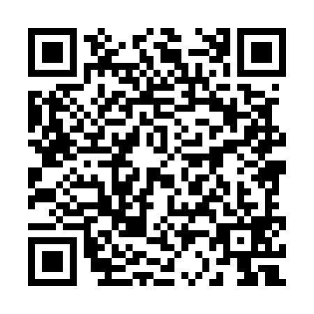 QR code for plate 22-85999