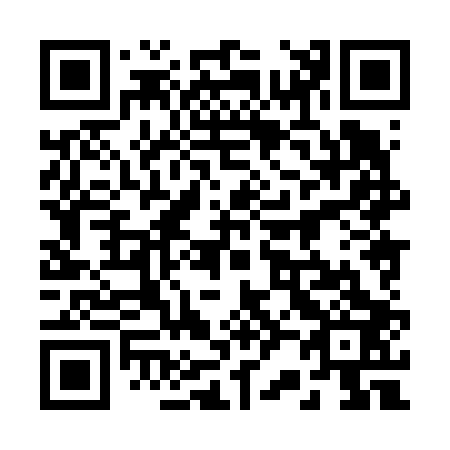 QR code for 228603