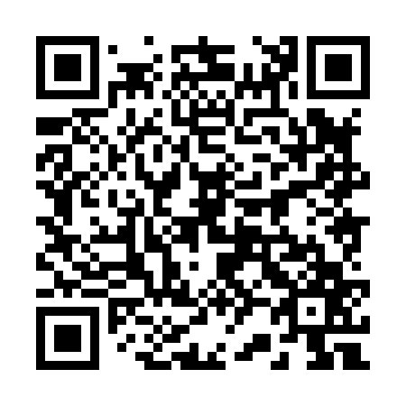 QR code for plate 2-28867