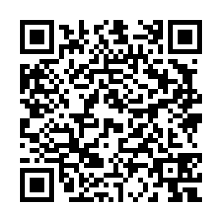 QR code for plate 22-94382