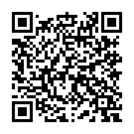 QR code for plate 22-98DQ