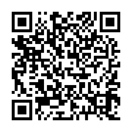 QR code for 234919