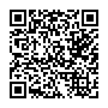 QR code for plate 23-493Z