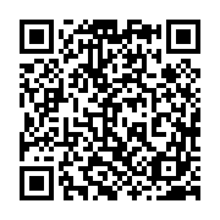 QR code for 238063