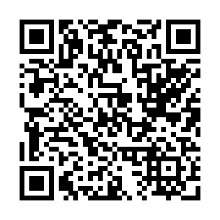 QR code for plate 2-38221