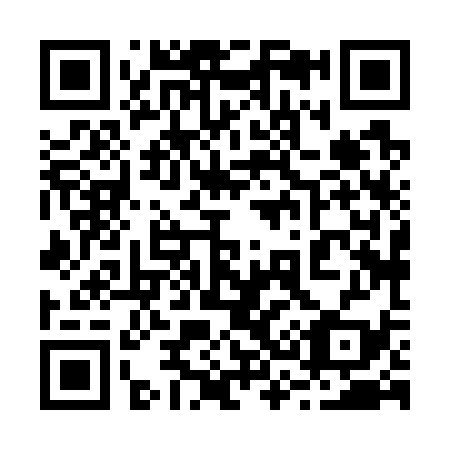 QR code for 238739