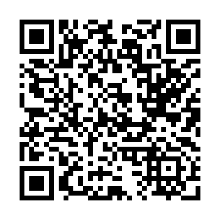 QR code for 238993