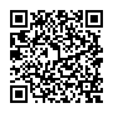 QR code for 2394811