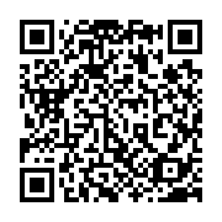 QR code for 239738