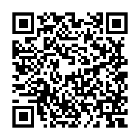 QR code for 24-38866