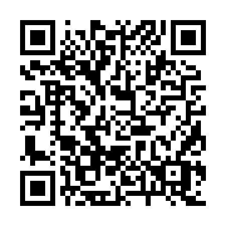 QR code for plate 24-38TV