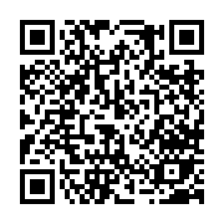 QR code for 2482O