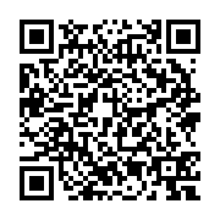 QR code for 25-92313