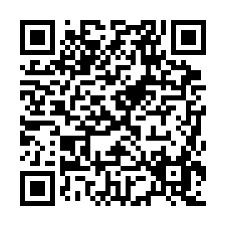 QR code for plate 2-503K