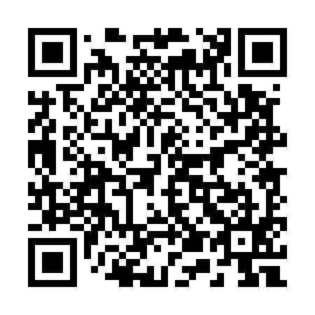 QR code for 250595