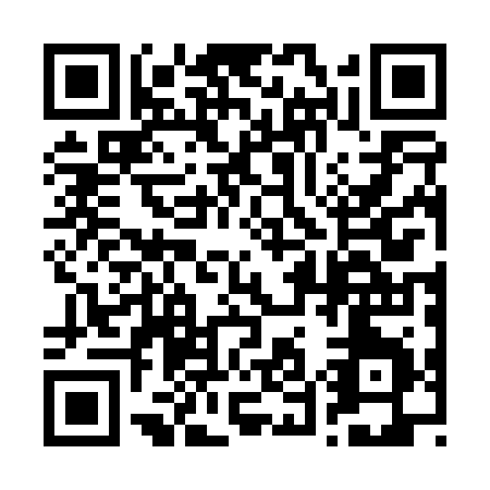 QR code for plate 2-5202