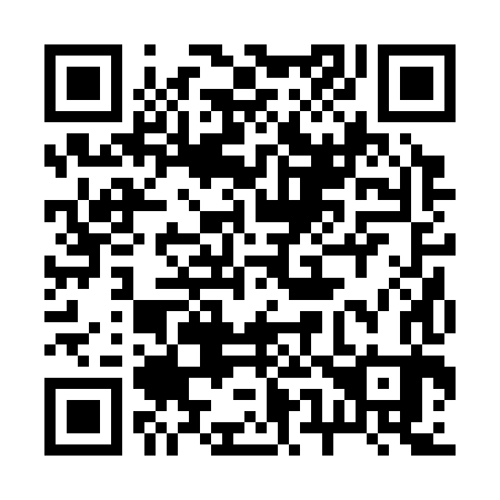 QR code for 252383
