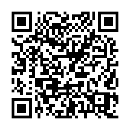 QR code for plate 25-295Q