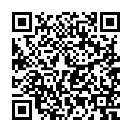 QR code for plate 25-29838