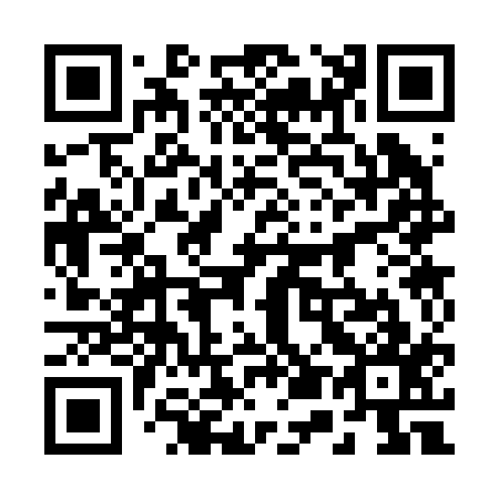QR code for plate 2-53217