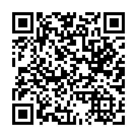 QR code for plate 25-41MI