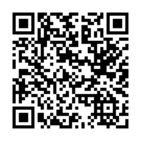 QR code for plate 25-919M
