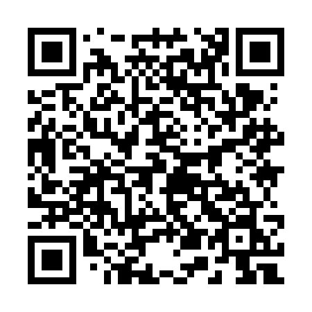 QR code for plate 25-96GN