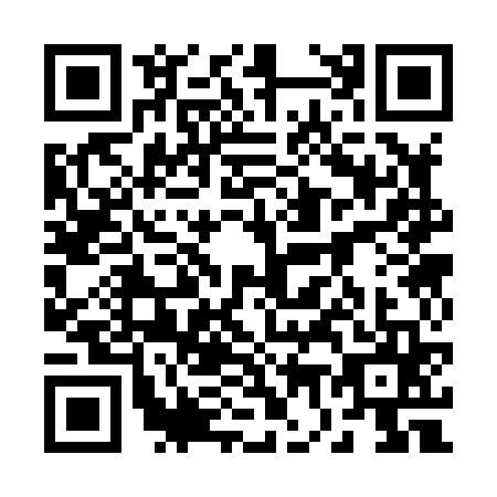 QR code for plate 27-38656