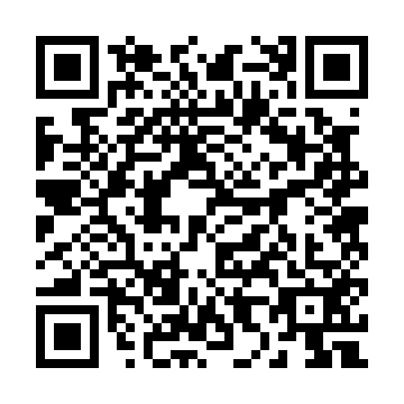 QR code for 28-20529