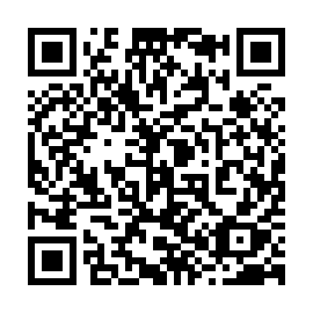 QR code for 28181X