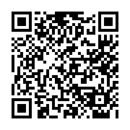 QR code for plate 28-22WM