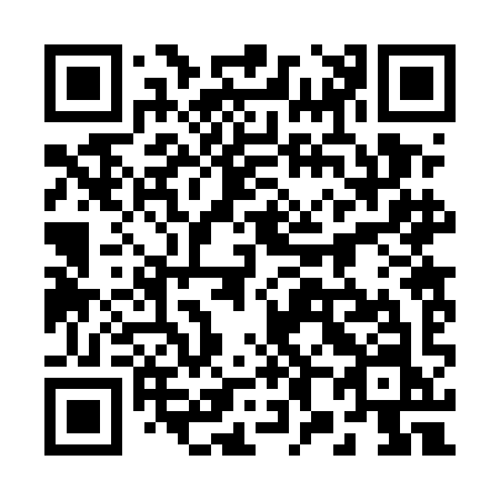 QR code for 2825IN