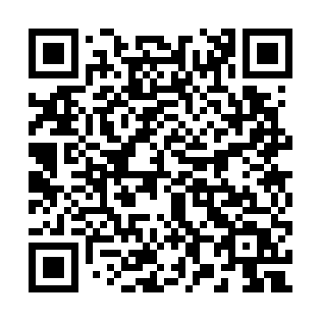 QR code for plate 28-375T