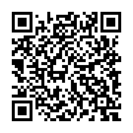 QR code for plate 28-49YG