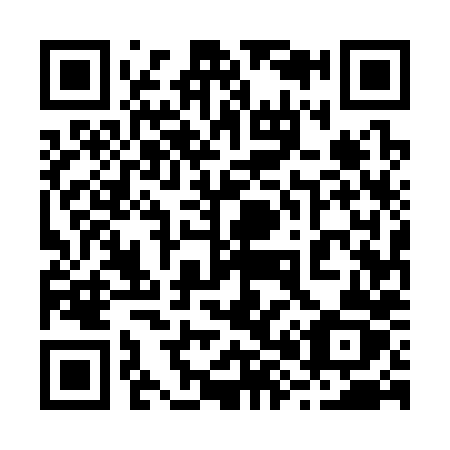 QR code for plate 28-538Z