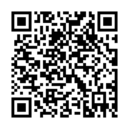 QR code for 28729G
