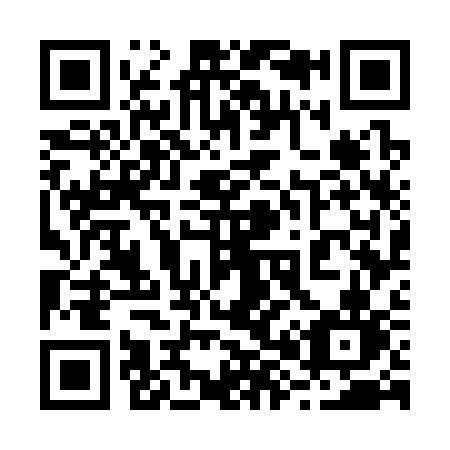 QR code for 28733N