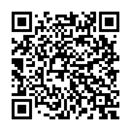 QR code for 28816P