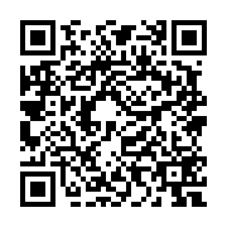QR code for 2894594