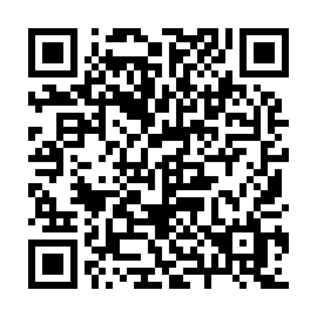 QR code for 28991L