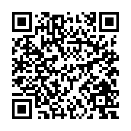QR code for 28LIF