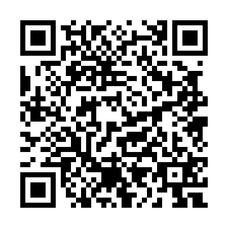 QR code for 29-00218