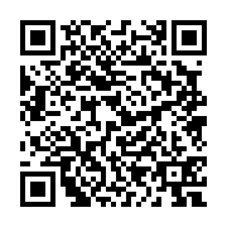 QR code for 29-00313