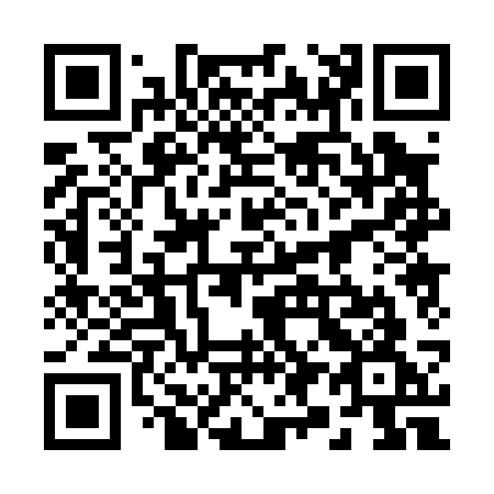 QR code for 29-003G