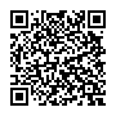 QR code for 29-006T