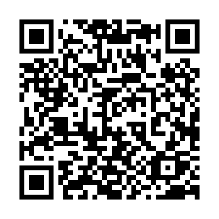 QR code for 29-00SP