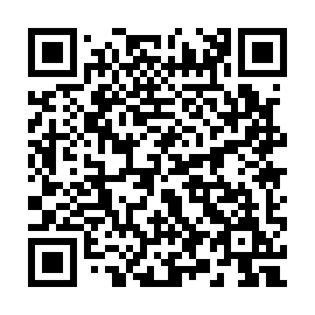 QR code for 29-119M