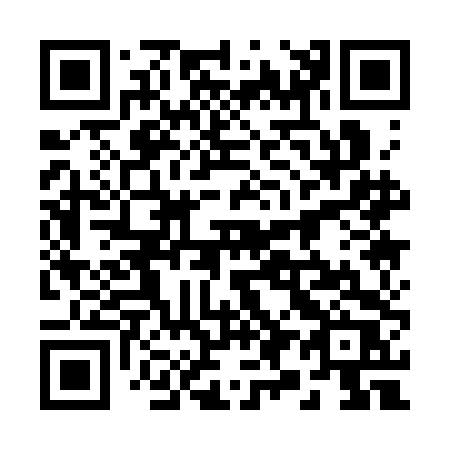 QR code for 29-13DR