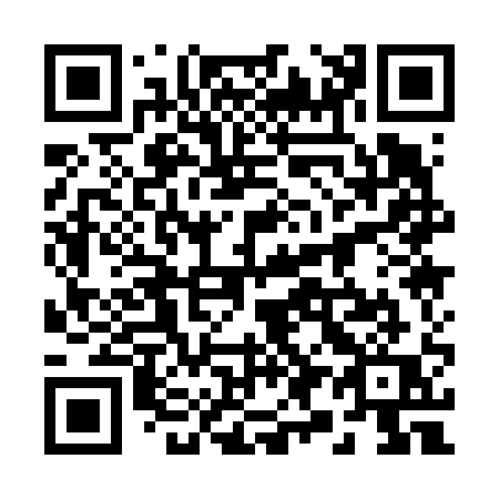 QR code for 29-161Q