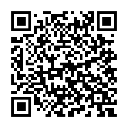 QR code for 29-20FV